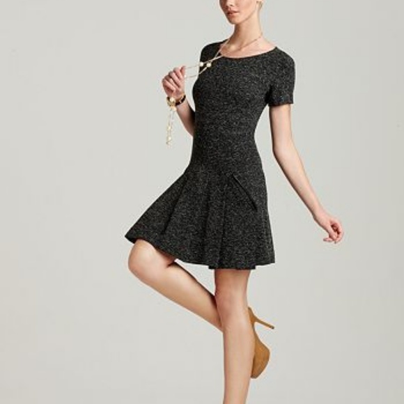 Theory Dresses & Skirts - Theory Edilina Dropwaist Ponte Knit Pleated Dress